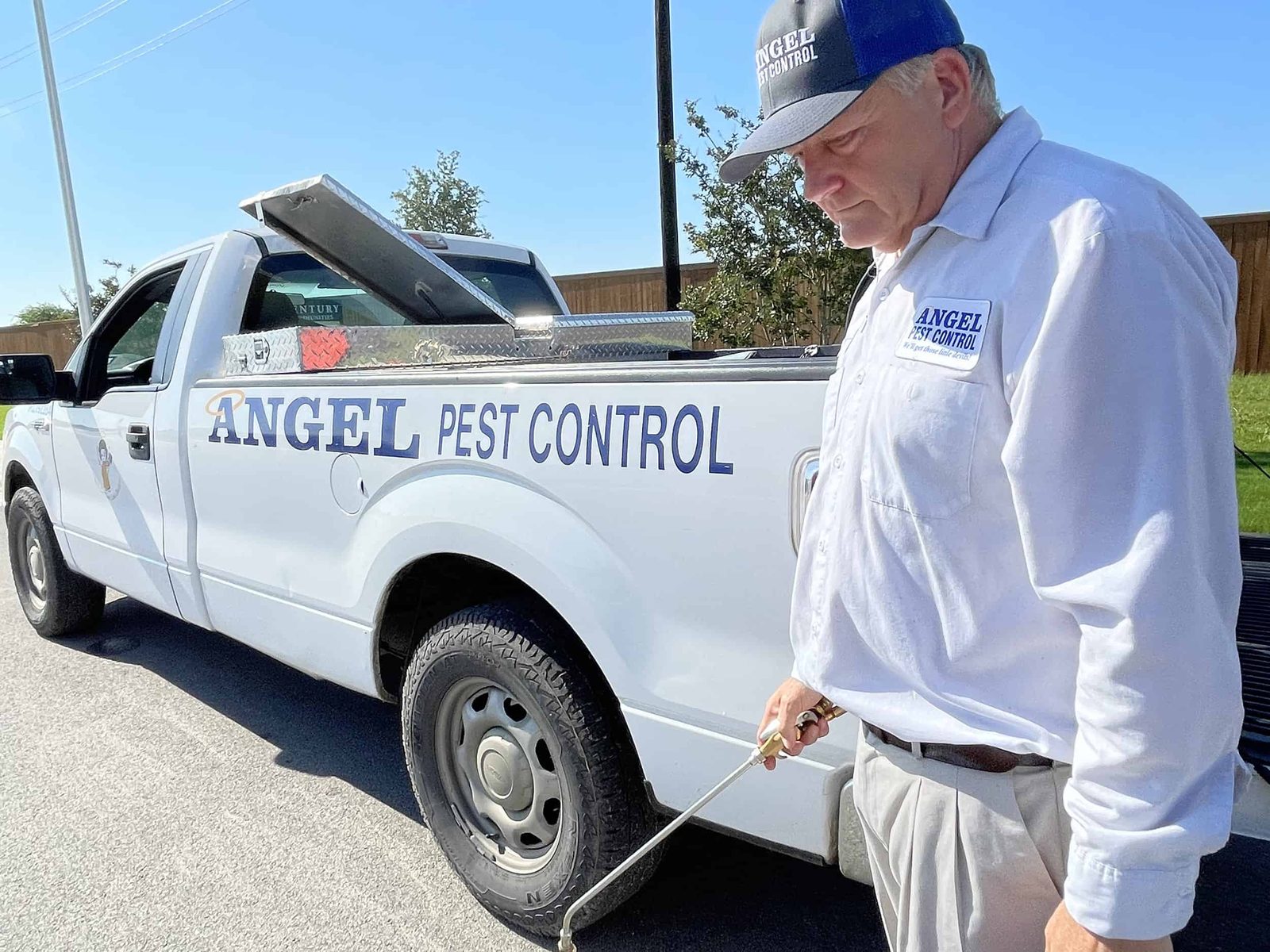How Long will it take for Pest Control to Work? — featured image