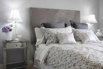 bed bugs